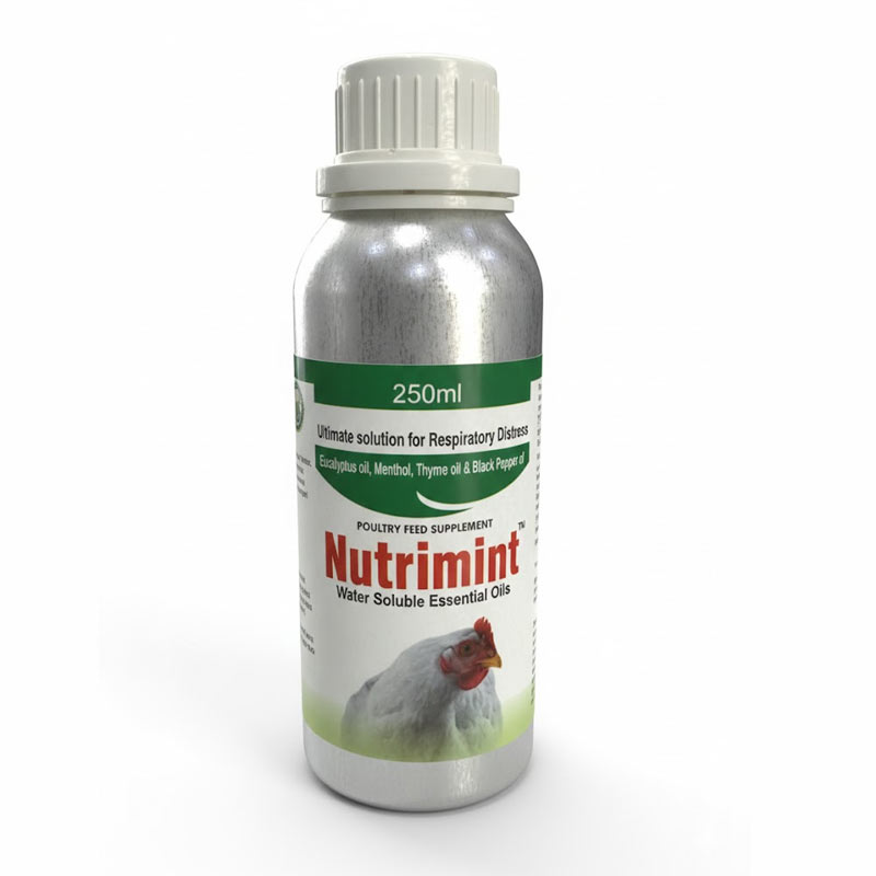 Nutrimint