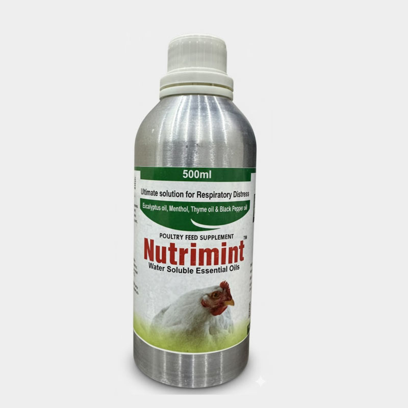 Nutrimint